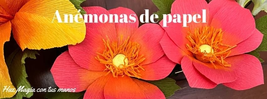 Anémona de papel crepé