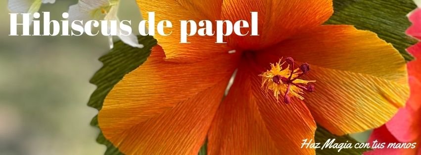 Hibiscus de papel crepé
