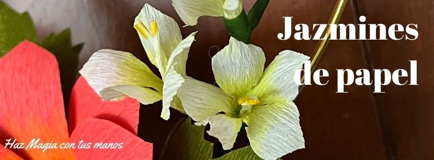 Jazmines de papel